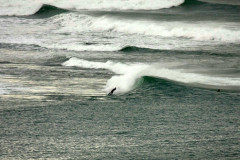 Les Alcyons et Parlementia du  8 Janv 2011  ;  Houle de 2.50m voire 3m balayée par un fort vent de Sud. Le ciel couvert donne une teinte métallique au plan d'eau, accentuant le contraste avec l'écume.