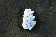 Corail-mort-et-sable-noir