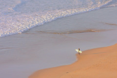 IMG_2115b