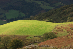 Pays-basque