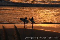 Sunset surfers