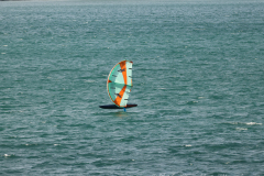 SJL-23