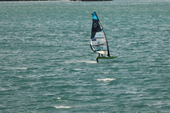 SJL-32
